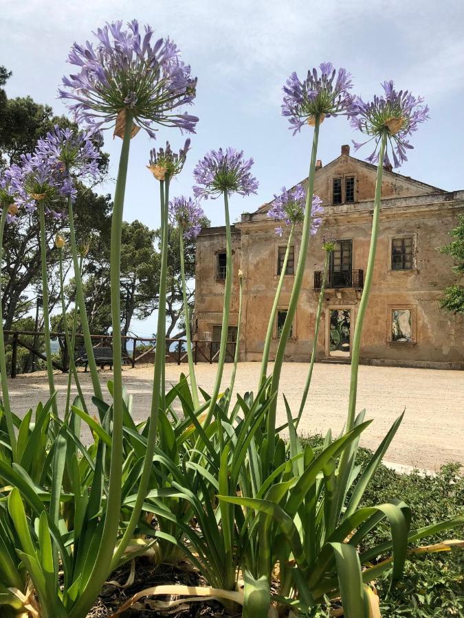 Aragoniteazzurra Casa Vacanza Gonnesa Exterior foto